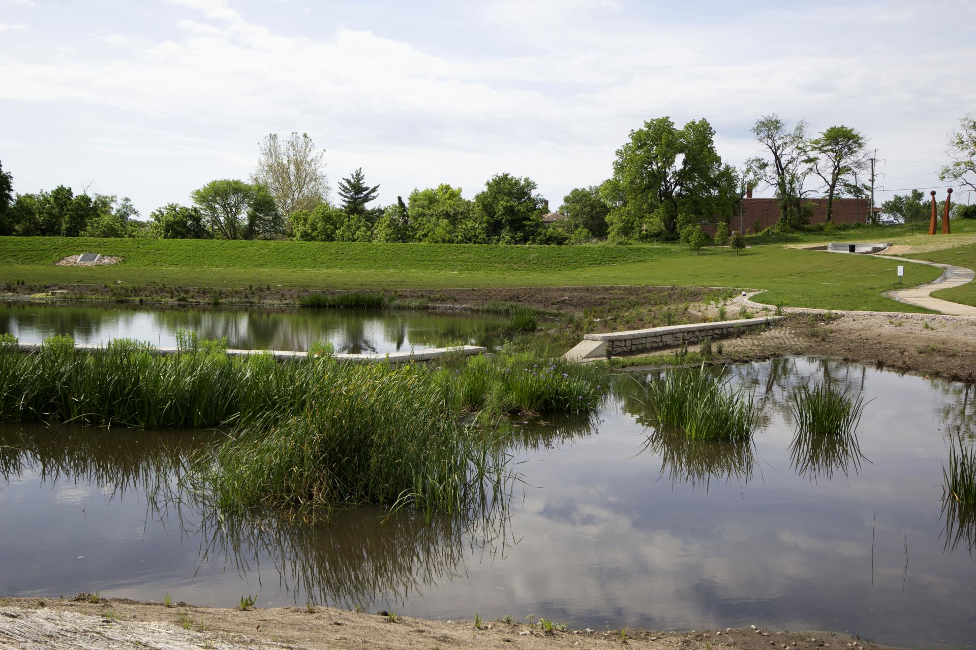 81st Troost wetlands