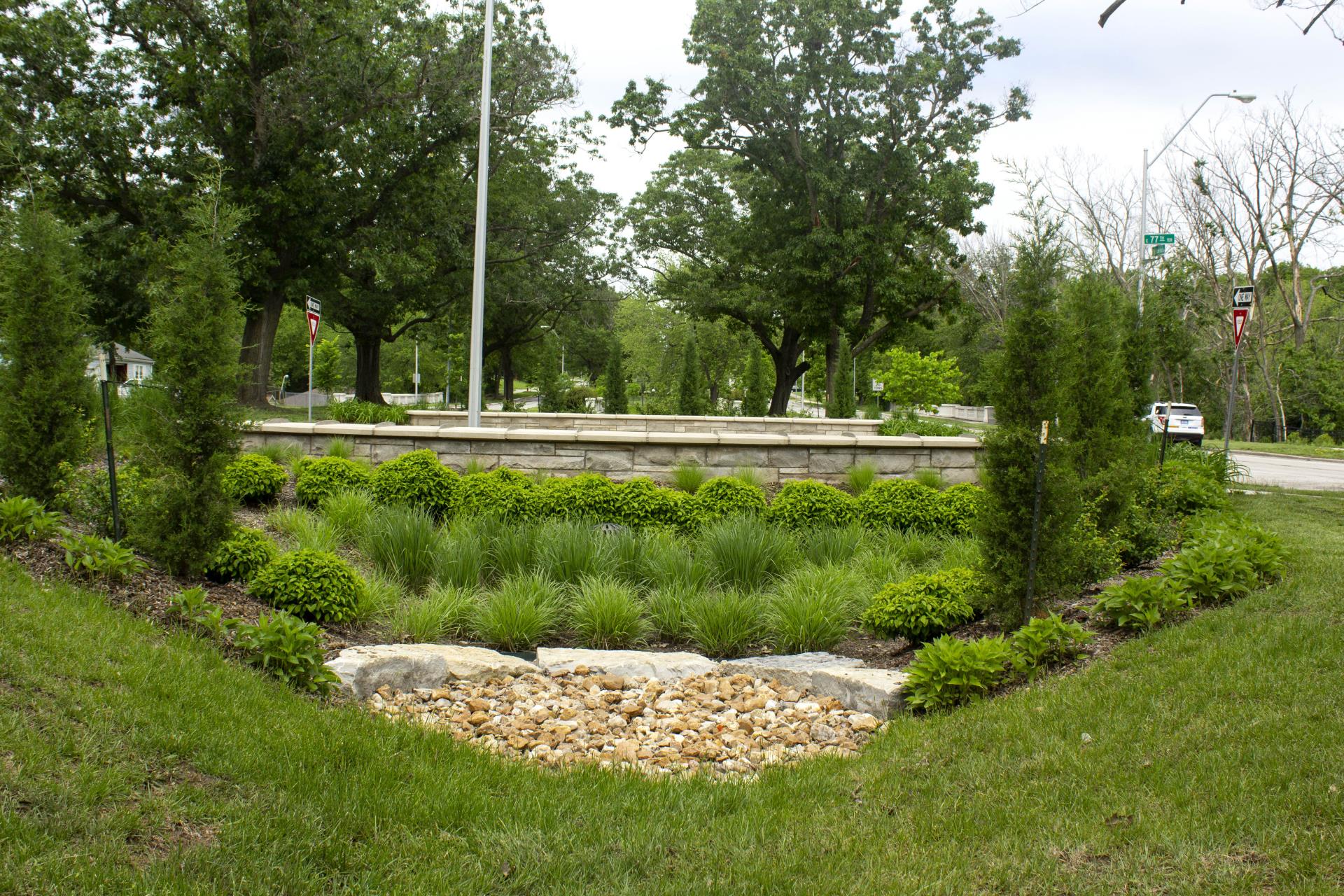 Rachel Morado rain gardens